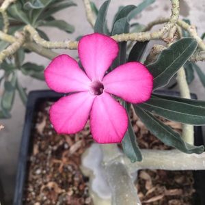 Meet your Posher, Mayra